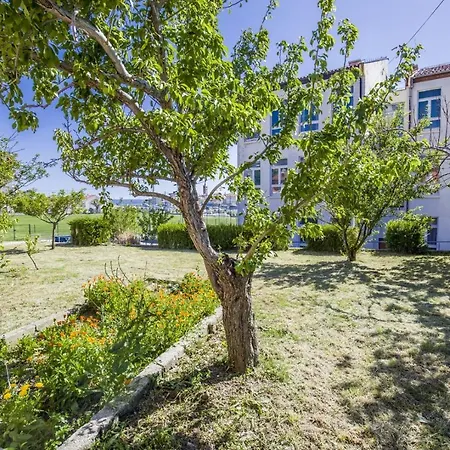 Gasthof Ilir 2912